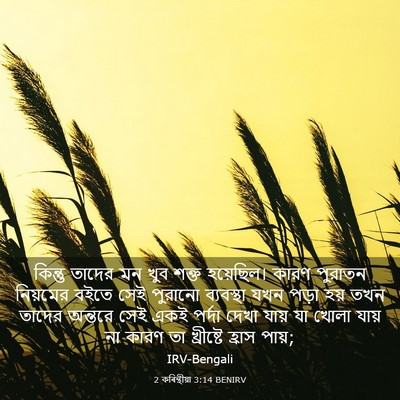 Picture 03 - 2 কৰিন্থীয়া 3:14 BENIRV - কিন্তু তাদের মন - Bible Verse Picture