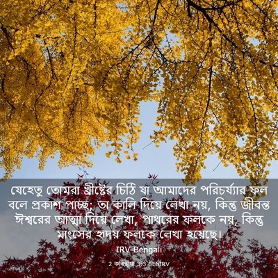 Picture 03 - 2 কৰিন্থীয়া 3:3 BENIRV - যেহেতু তোমরা - Bible Verse Picture