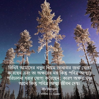 Picture 03 - 2 কৰিন্থীয়া 3:6 BENIRV - তিনিই আমাদের নতুন - Bible Verse Picture