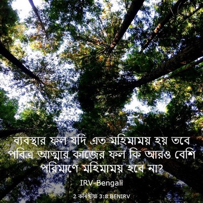 Picture 03 - 2 কৰিন্থীয়া 3:8 BENIRV - ব্যবস্থার ফল যদি - Bible Verse Picture