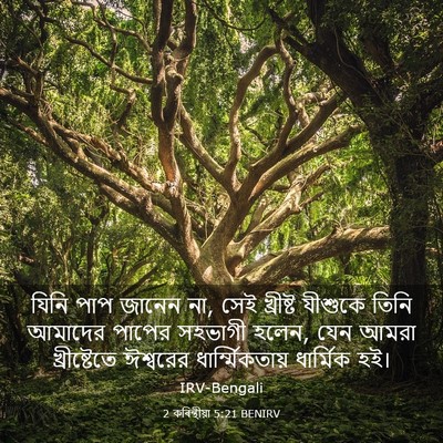 Picture 03 - 2 কৰিন্থীয়া 5:21 BENIRV - যিনি পাপ জানেন না, - Bible Verse Picture