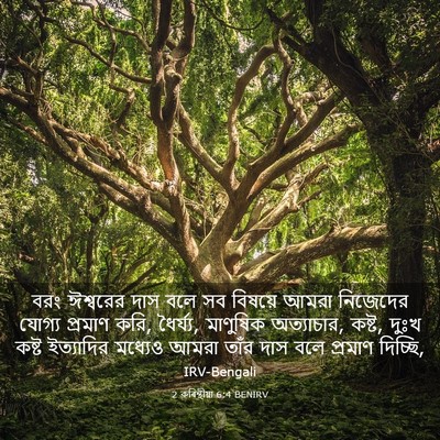 Picture 03 - 2 কৰিন্থীয়া 6:4 BENIRV - বরং ঈশ্বরের দাস - Bible Verse Picture