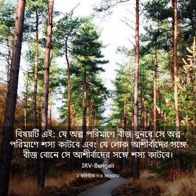 Picture 03 - 2 কৰিন্থীয়া 9:6 BENIRV - বিষয়টি এই: যে অল্প - Bible Verse Picture