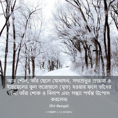 Picture 03 - 2 চমূৱেল 1:12 BENIRV - আর শৌল, তাঁর ছেলে - Bible Verse Picture