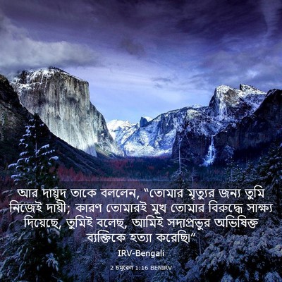 Picture 03 - 2 চমূৱেল 1:16 BENIRV - আর দায়ূদ তাকে - Bible Verse Picture