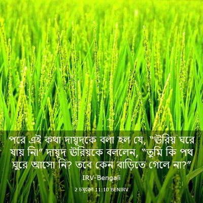Picture 03 - 2 চমূৱেল 11:10 BENIRV - পরে এই কথা - Bible Verse Picture