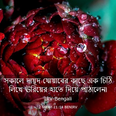 Picture 03 - 2 চমূৱেল 11:14 BENIRV - সকালে দায়ূদ - Bible Verse Picture