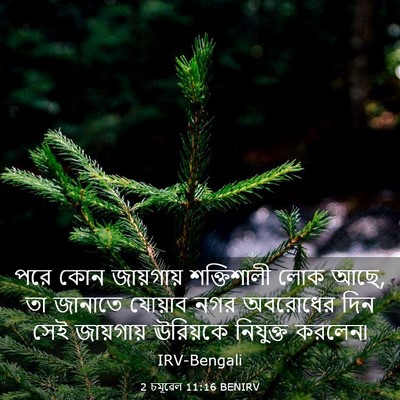 Picture 03 - 2 চমূৱেল 11:16 BENIRV - পরে কোন জায়গায় - Bible Verse Picture