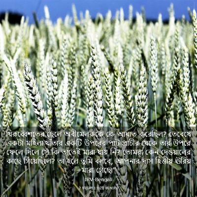 Picture 03 - 2 চমূৱেল 11:21 BENIRV - যিরূব্বেশতের ছেলে - Bible Verse Picture