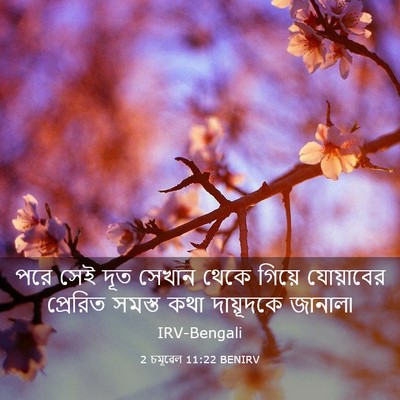 Picture 03 - 2 চমূৱেল 11:22 BENIRV - পরে সেই দূত সেখান - Bible Verse Picture