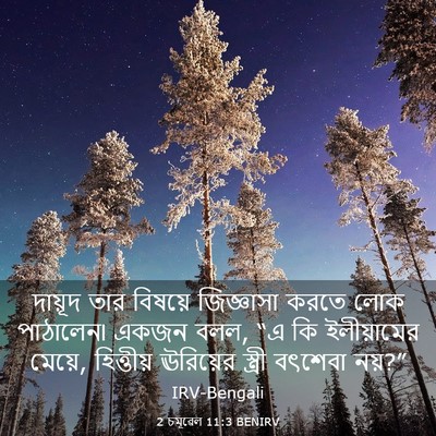 Picture 03 - 2 চমূৱেল 11:3 BENIRV - দায়ূদ তার বিষয়ে - Bible Verse Picture
