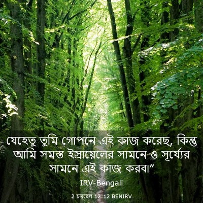 Picture 03 - 2 চমূৱেল 12:12 BENIRV - যেহেতু তুমি গোপনে - Bible Verse Picture