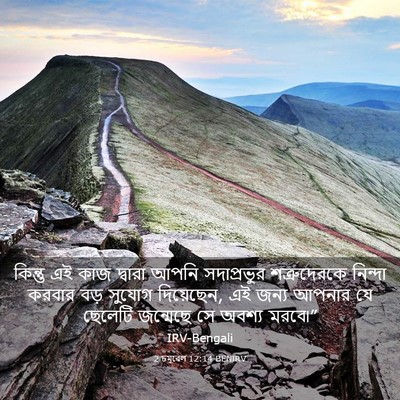 Picture 03 - 2 চমূৱেল 12:14 BENIRV - কিন্তু এই কাজ - Bible Verse Picture