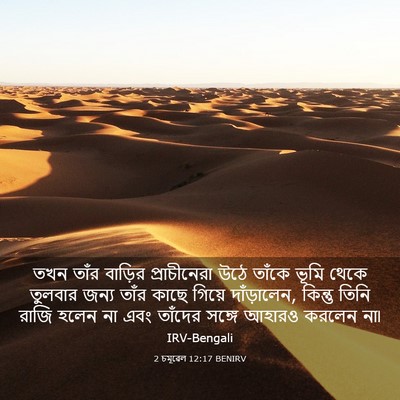 Picture 03 - 2 চমূৱেল 12:17 BENIRV - তখন তাঁর বাড়ির - Bible Verse Picture