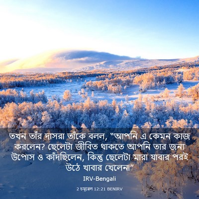 Picture 03 - 2 চমূৱেল 12:21 BENIRV - তখন তাঁর দাসরা - Bible Verse Picture
