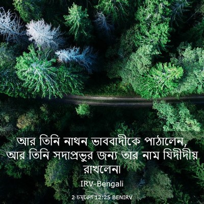 Picture 03 - 2 চমূৱেল 12:25 BENIRV - আর তিনি নাথন - Bible Verse Picture