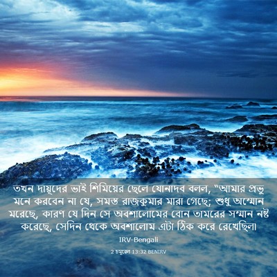 Picture 03 - 2 চমূৱেল 13:32 BENIRV - তখন দায়ূদের ভাই - Bible Verse Picture