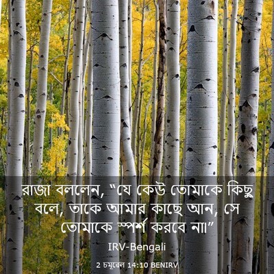Picture 03 - 2 চমূৱেল 14:10 BENIRV - রাজা বললেন, “যে কেউ - Bible Verse Picture