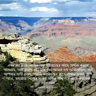Picture 03 - 2 চমূৱেল 14:15 BENIRV - এখন আমি যে নিজের - Bible Verse Picture