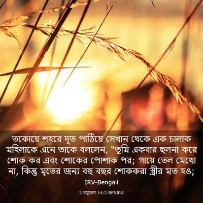 Picture 03 - 2 চমূৱেল 14:2 BENIRV - তকোয়ে শহরে দূত - Bible Verse Picture
