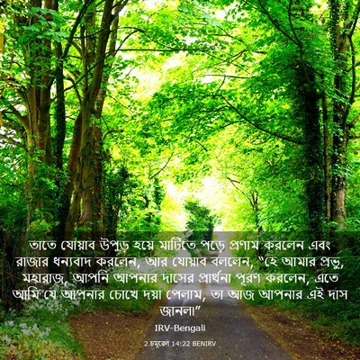 Picture 03 - 2 চমূৱেল 14:22 BENIRV - তাতে যোয়াব উপুড় - Bible Verse Picture