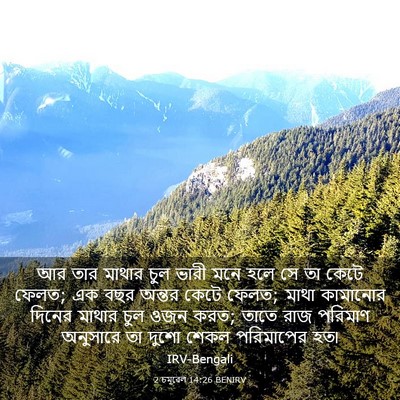 Picture 03 - 2 চমূৱেল 14:26 BENIRV - আর তার মাথার চুল - Bible Verse Picture
