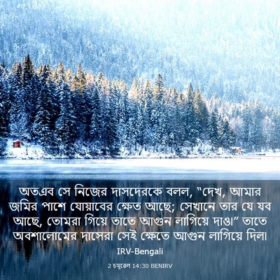 Picture 03 - 2 চমূৱেল 14:30 BENIRV - অতএব সে নিজের - Bible Verse Picture