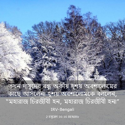 Picture 03 - 2 চমূৱেল 16:16 BENIRV - তখন দায়ূদের - Bible Verse Picture