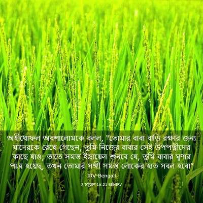 Picture 03 - 2 চমূৱেল 16:21 BENIRV - অহীথোফল অবশালোমকে - Bible Verse Picture