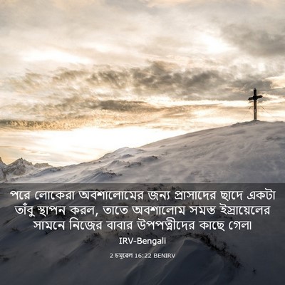 Picture 03 - 2 চমূৱেল 16:22 BENIRV - পরে লোকেরা - Bible Verse Picture