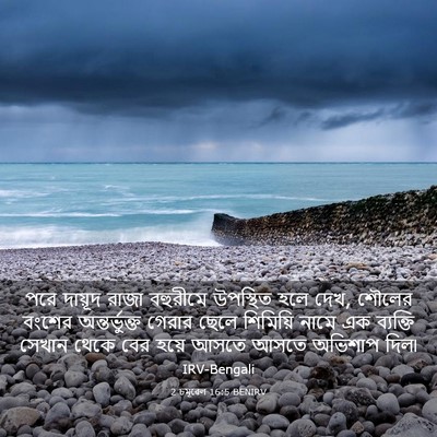 Picture 03 - 2 চমূৱেল 16:5 BENIRV - পরে দায়ূদ রাজা - Bible Verse Picture