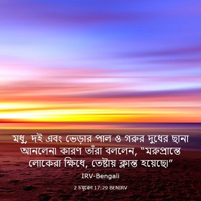 Picture 03 - 2 চমূৱেল 17:29 BENIRV - মধু, দই এবং ভেড়ার - Bible Verse Picture