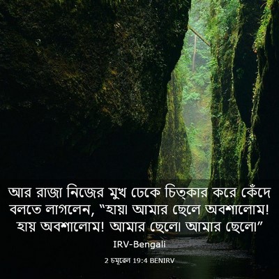 Picture 03 - 2 চমূৱেল 19:4 BENIRV - আর রাজা নিজের মুখ - Bible Verse Picture