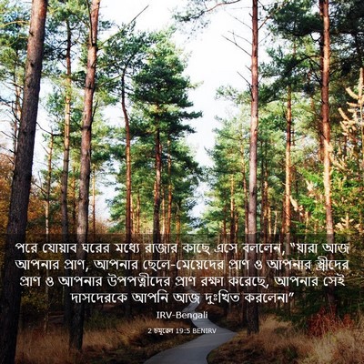 Picture 03 - 2 চমূৱেল 19:5 BENIRV - পরে যোয়াব ঘরের - Bible Verse Picture