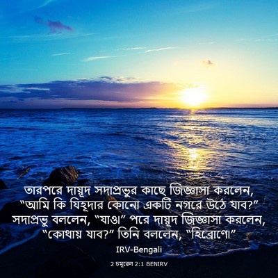 Picture 03 - 2 চমূৱেল 2:1 BENIRV - তারপরে দায়ূদ - Bible Verse Picture