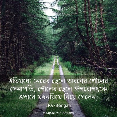 Picture 03 - 2 চমূৱেল 2:8 BENIRV - ইতিমধ্যে নেরের - Bible Verse Picture