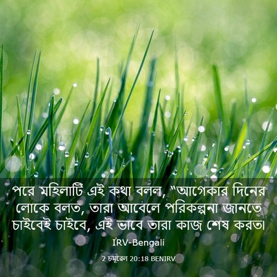 Picture 03 - 2 চমূৱেল 20:18 BENIRV - পরে মহিলাটি এই কথা - Bible Verse Picture