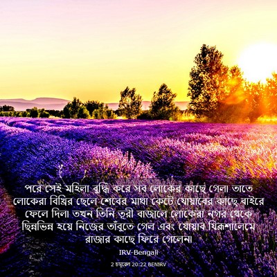 Picture 03 - 2 চমূৱেল 20:22 BENIRV - পরে সেই মহিলা - Bible Verse Picture