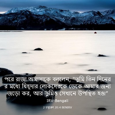 Picture 03 - 2 চমূৱেল 20:4 BENIRV - পরে রাজা অমাসাকে - Bible Verse Picture
