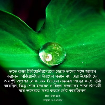 Picture 03 - 2 চমূৱেল 21:2 BENIRV - তাতে রাজা - Bible Verse Picture