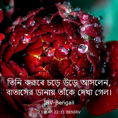 Picture 03 - 2 চমূৱেল 22:11 BENIRV - তিনি করূবে চড়ে - Bible Verse Picture