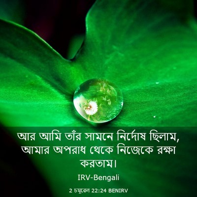 Picture 03 - 2 চমূৱেল 22:24 BENIRV - আর আমি তাঁর সামনে - Bible Verse Picture