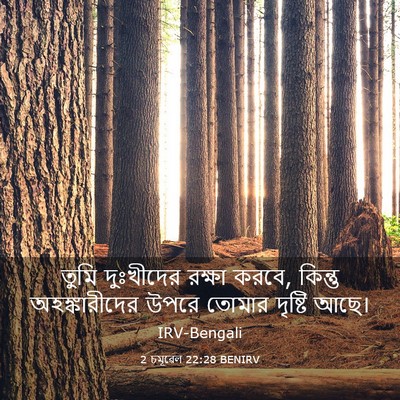 Picture 03 - 2 চমূৱেল 22:28 BENIRV - তুমি দুঃখীদের - Bible Verse Picture
