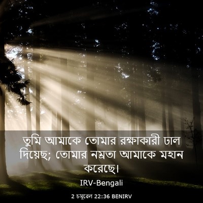 Picture 03 - 2 চমূৱেল 22:36 BENIRV - তুমি আমাকে তোমার - Bible Verse Picture