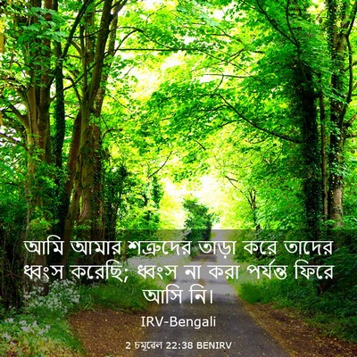 Picture 03 - 2 চমূৱেল 22:38 BENIRV - আমি আমার শত্রুদের - Bible Verse Picture