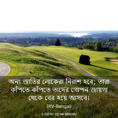 Picture 03 - 2 চমূৱেল 22:46 BENIRV - অন্য জাতির লোকেরা - Bible Verse Picture