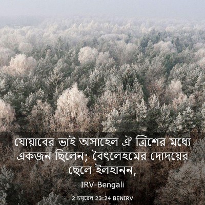 Picture 03 - 2 চমূৱেল 23:24 BENIRV - যোয়াবের ভাই - Bible Verse Picture