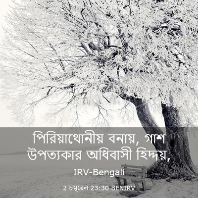 Picture 03 - 2 চমূৱেল 23:30 BENIRV - পিরিয়াথোনীয় - Bible Verse Picture