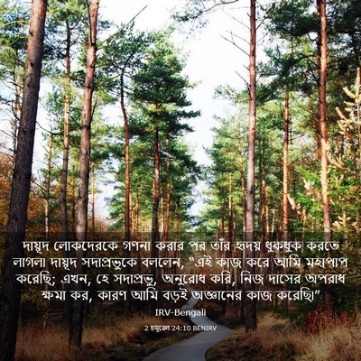 Picture 03 - 2 চমূৱেল 24:10 BENIRV - দায়ূদ লোকদেরকে - Bible Verse Picture