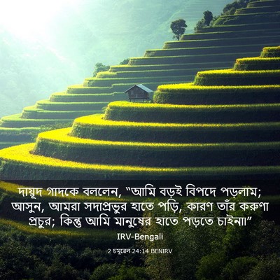 Picture 03 - 2 চমূৱেল 24:14 BENIRV - দায়ূদ গাদকে - Bible Verse Picture